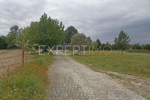 Villa - Caria, Castelo Branco, Caria - € 600 000 | Réf : CAS_4530 - photo 29