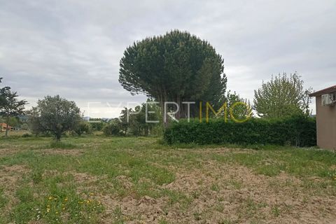 Villa - Caria, Castelo Branco, Caria - € 600 000 | Réf : CAS_4530 - photo 31