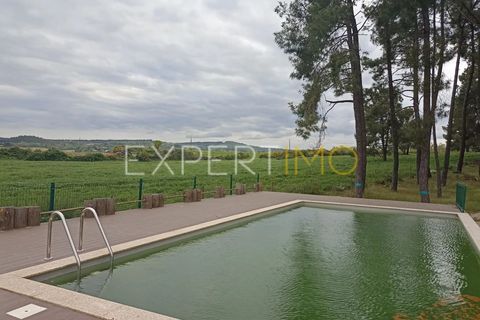 Villa - Caria, Castelo Branco, Caria - € 600 000 | Réf : CAS_4530 - photo 35