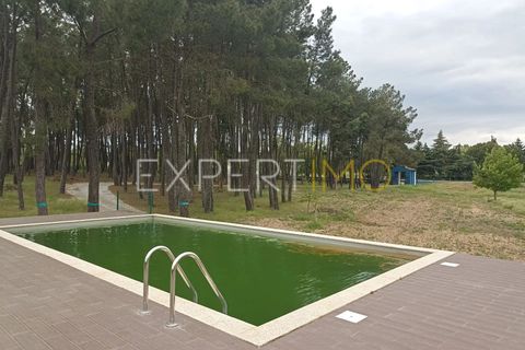 Villa - Caria, Castelo Branco, Caria - € 600 000 | Réf : CAS_4530 - photo 36