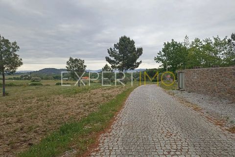 Villa - Caria, Castelo Branco, Caria - € 600 000 | Réf : CAS_4530 - photo 37