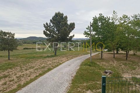 Villa - Caria, Castelo Branco, Caria - € 600 000 | Réf : CAS_4530 - photo 39