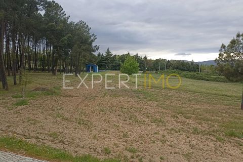 Villa - Caria, Castelo Branco, Caria - € 600 000 | Réf : CAS_4530 - photo 40
