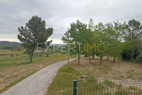 Villa - Caria, Castelo Branco, Caria - € 600 000 | Réf : CAS_4530 - photo 41