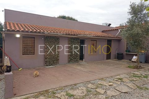 Villa - Caria, Castelo Branco, Caria - € 600 000 | Réf : CAS_4530 - photo 47