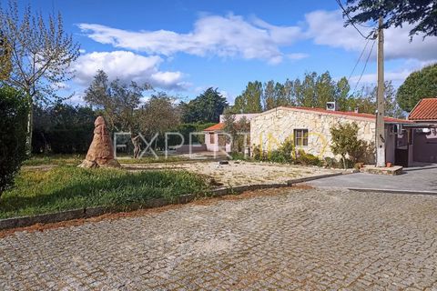 Villa - Caria, Castelo Branco, Caria - € 600 000 | Réf : CAS_4530 - photo 49