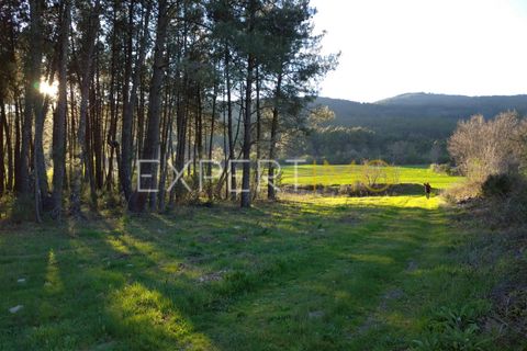 Terra a Valhelhas, Guarda, Valhelhas - € 81.000 | Ref: MC_018_MCAR - foto 5