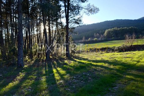 Terra a Valhelhas, Guarda, Valhelhas - € 81.000 | Ref: MC_018_MCAR - foto 7