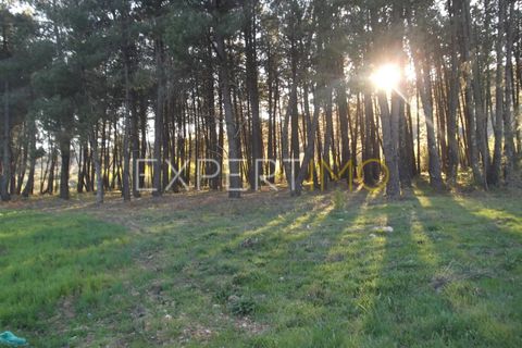 Terra a Valhelhas, Guarda, Valhelhas - € 81.000 | Ref: MC_018_MCAR - foto 11