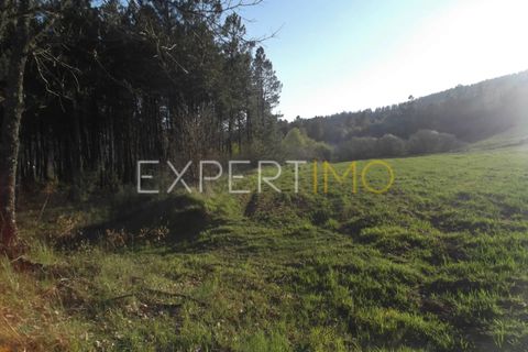 Terra a Valhelhas, Guarda, Valhelhas - € 81.000 | Ref: MC_018_MCAR - foto 13