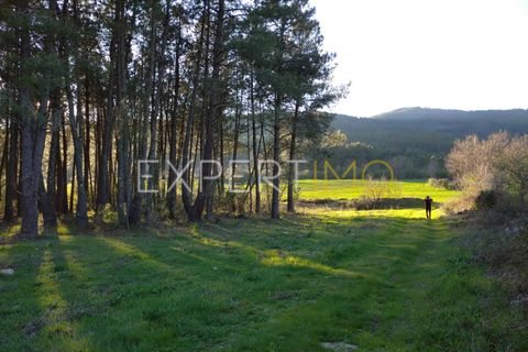 Terra a Valhelhas, Guarda, Valhelhas - € 81.000 | Ref: MC_018_MCAR - foto 14