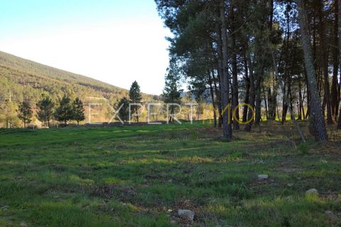 Terra a Valhelhas, Guarda, Valhelhas - € 81.000 | Ref: MC_018_MCAR - foto 15