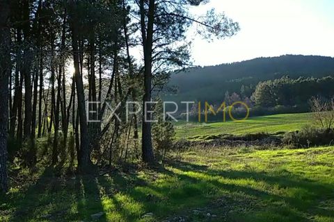 Terra a Valhelhas, Guarda, Valhelhas - € 81.000 | Ref: MC_018_MCAR - foto 16