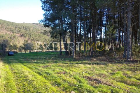 Helårsgrund i Valhelhas, Guarda, Valhelhas - € 81.000 | Ref: MC_018_MCAR - foto 3