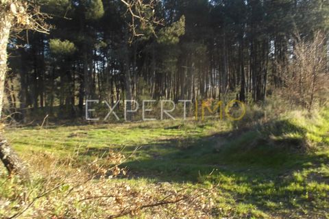 Helårsgrund i Valhelhas, Guarda, Valhelhas - € 81.000 | Ref: MC_018_MCAR - foto 8