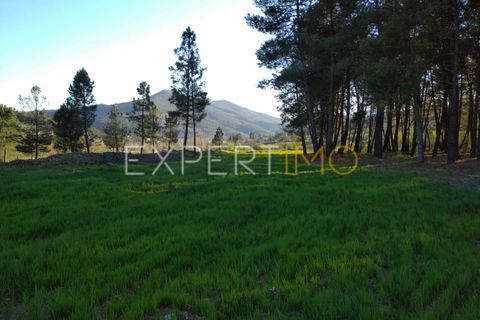 Helårsgrund i Valhelhas, Guarda, Valhelhas - € 81.000 | Ref: MC_018_MCAR - foto 10