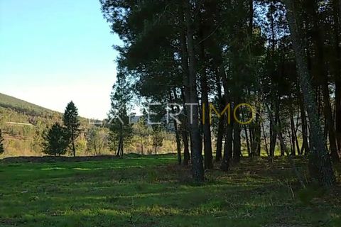 Helårsgrund i Valhelhas, Guarda, Valhelhas - € 81.000 | Ref: MC_018_MCAR - foto 19