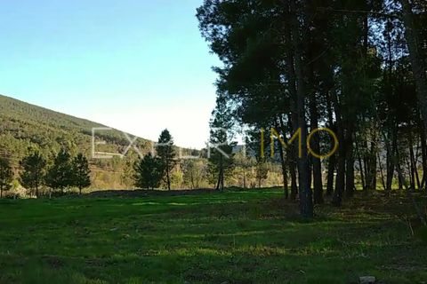 Helårsgrund i Valhelhas, Guarda, Valhelhas - € 81.000 | Ref: MC_018_MCAR - foto 20