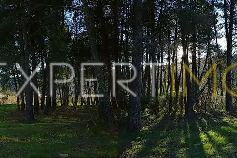Helårsgrund i Valhelhas, Guarda, Valhelhas - € 81.000 | Ref: MC_018_MCAR - foto 25