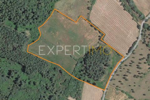 Helårsgrund i Valhelhas, Guarda, Valhelhas - € 81.000 | Ref: MC_018_MCAR - foto 30