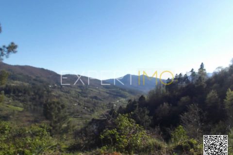 Farm i Guarda, Guarda, Guarda - € 56.500 | Ref: MC_027_MCAR - foto 2