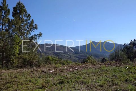 Farm i Guarda, Guarda, Guarda - € 56.500 | Ref: MC_027_MCAR - foto 3