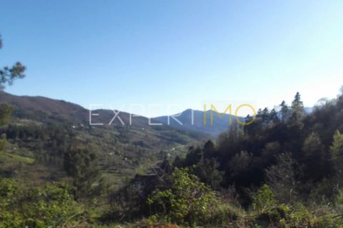 Farm i Guarda, Guarda, Guarda - € 56.500 | Ref: MC_027_MCAR - foto 4