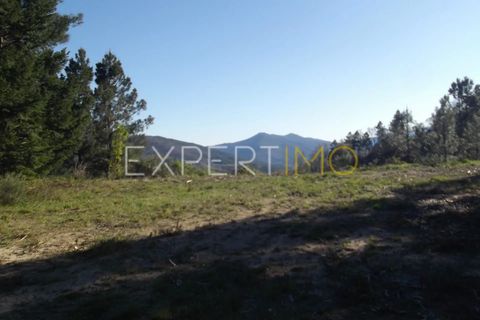 Farm i Guarda, Guarda, Guarda - € 56.500 | Ref: MC_027_MCAR - foto 5