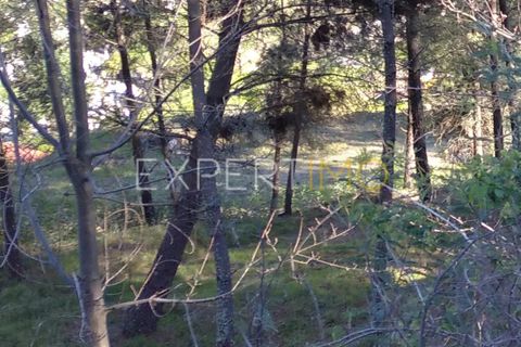 Farm i Guarda, Guarda, Guarda - € 56.500 | Ref: MC_027_MCAR - foto 6