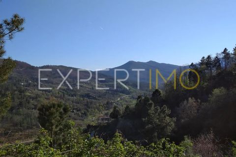 Farm i Guarda, Guarda, Guarda - € 56.500 | Ref: MC_027_MCAR - foto 7