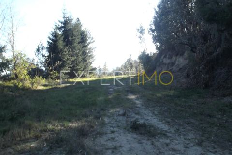 Farm i Guarda, Guarda, Guarda - € 56.500 | Ref: MC_027_MCAR - foto 8