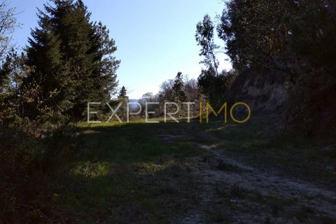 Farm i Guarda, Guarda, Guarda - € 56.500 | Ref: MC_027_MCAR - foto 14