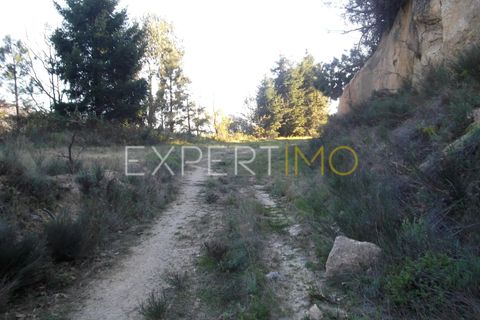 Farm i Guarda, Guarda, Guarda - € 56.500 | Ref: MC_027_MCAR - foto 15