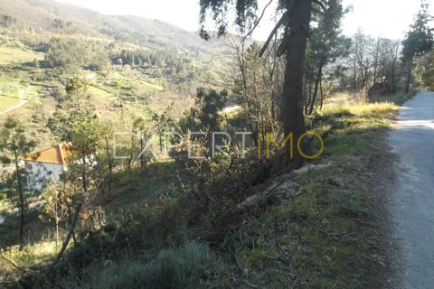 Farm i Guarda, Guarda, Guarda - € 56.500 | Ref: MC_027_MCAR - foto 18