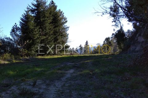 Farm i Guarda, Guarda, Guarda - € 56.500 | Ref: MC_027_MCAR - foto 22
