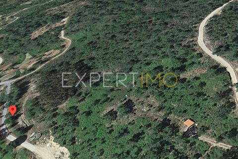 Farm i Guarda, Guarda, Guarda - € 56.500 | Ref: MC_027_MCAR - foto 29