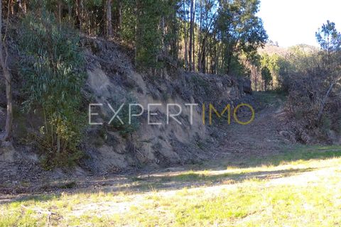 Farm i Guarda, Guarda, Guarda - € 56.500 | Ref: MC_027_MCAR - foto 33