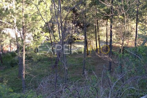 Farm i Guarda, Guarda, Guarda - € 56.500 | Ref: MC_027_MCAR - foto 34