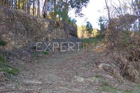 Farm i Guarda, Guarda, Guarda - € 56.500 | Ref: MC_027_MCAR - foto 37