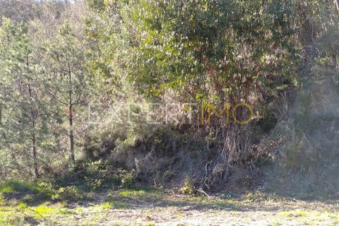 Farm i Guarda, Guarda, Guarda - € 56.500 | Ref: MC_027_MCAR - foto 38