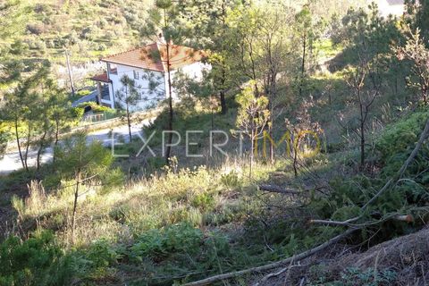 Farm i Guarda, Guarda, Guarda - € 56.500 | Ref: MC_027_MCAR - foto 41
