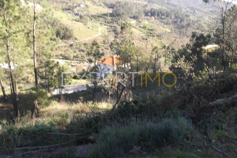 Gård i Guarda, Guarda, Guarda - € 56 500 | Ref: MC_027_MCAR - foto 12
