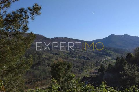 Gård i Guarda, Guarda, Guarda - € 56 500 | Ref: MC_027_MCAR - foto 16