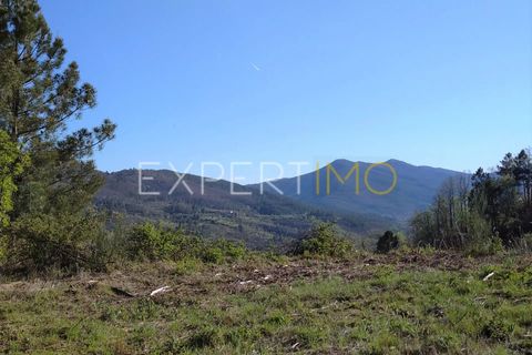Gård i Guarda, Guarda, Guarda - € 56 500 | Ref: MC_027_MCAR - foto 17