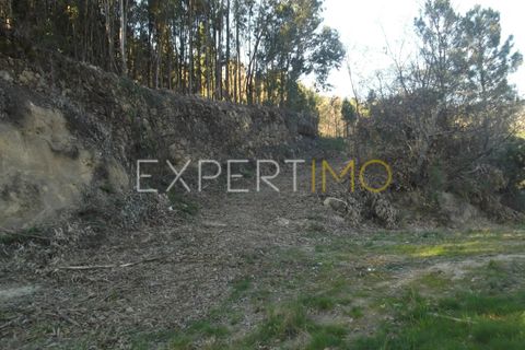 Gård i Guarda, Guarda, Guarda - € 56 500 | Ref: MC_027_MCAR - foto 23