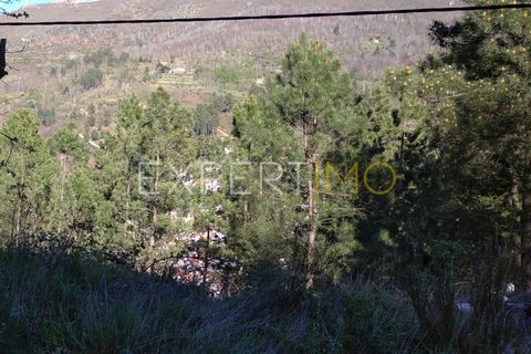 Gård i Guarda, Guarda, Guarda - € 56 500 | Ref: MC_027_MCAR - foto 25