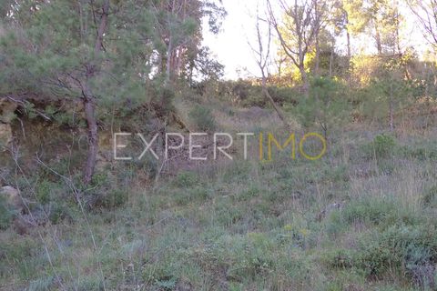 Gård i Guarda, Guarda, Guarda - € 56 500 | Ref: MC_027_MCAR - foto 27