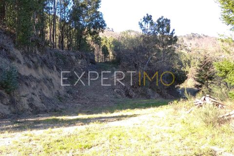 Gård i Guarda, Guarda, Guarda - € 56 500 | Ref: MC_027_MCAR - foto 33