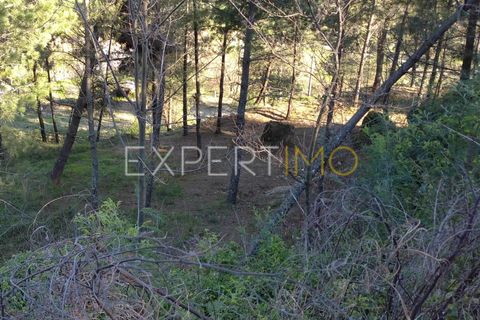 Gård i Guarda, Guarda, Guarda - € 56 500 | Ref: MC_027_MCAR - foto 36
