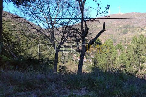 Gård i Guarda, Guarda, Guarda - € 56 500 | Ref: MC_027_MCAR - foto 37